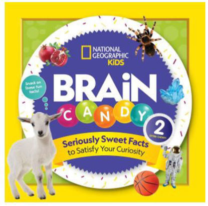 Picture of Brain Candy 2